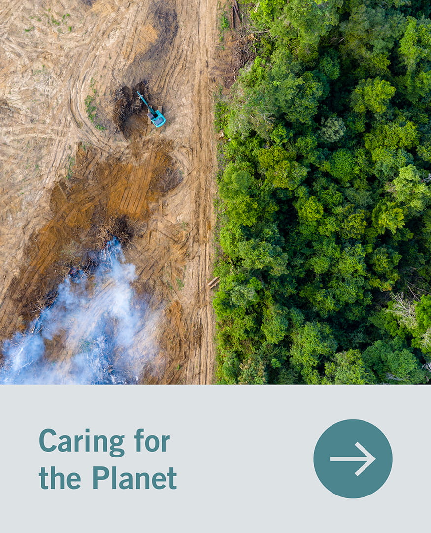 caring for the planet