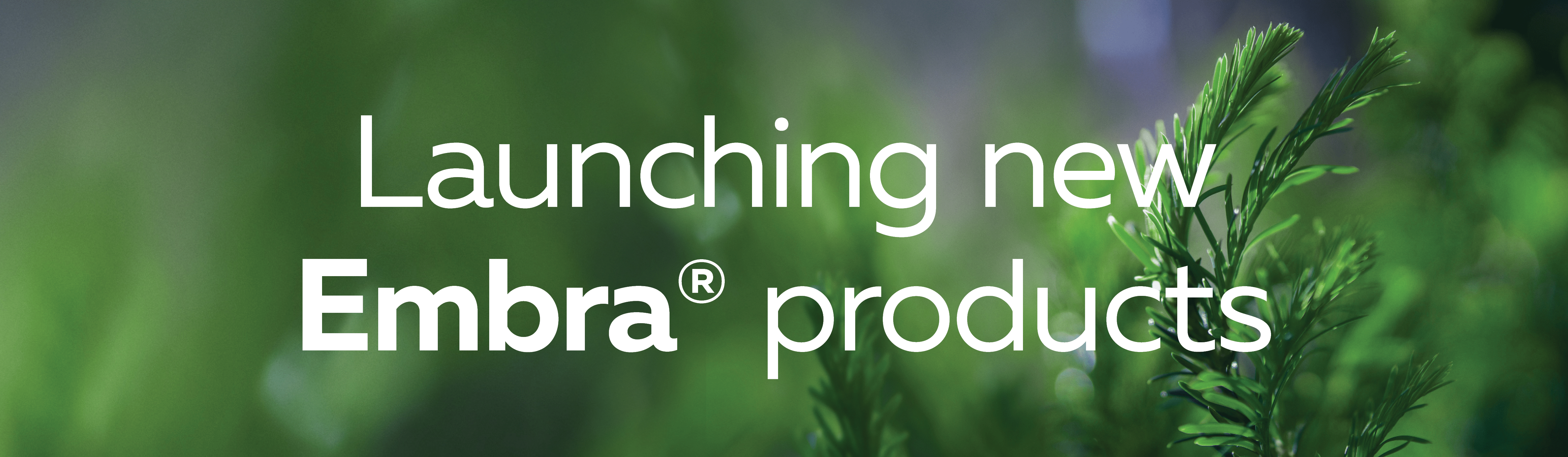 Embra Pioneering Sustainable Solutions in Healthcare