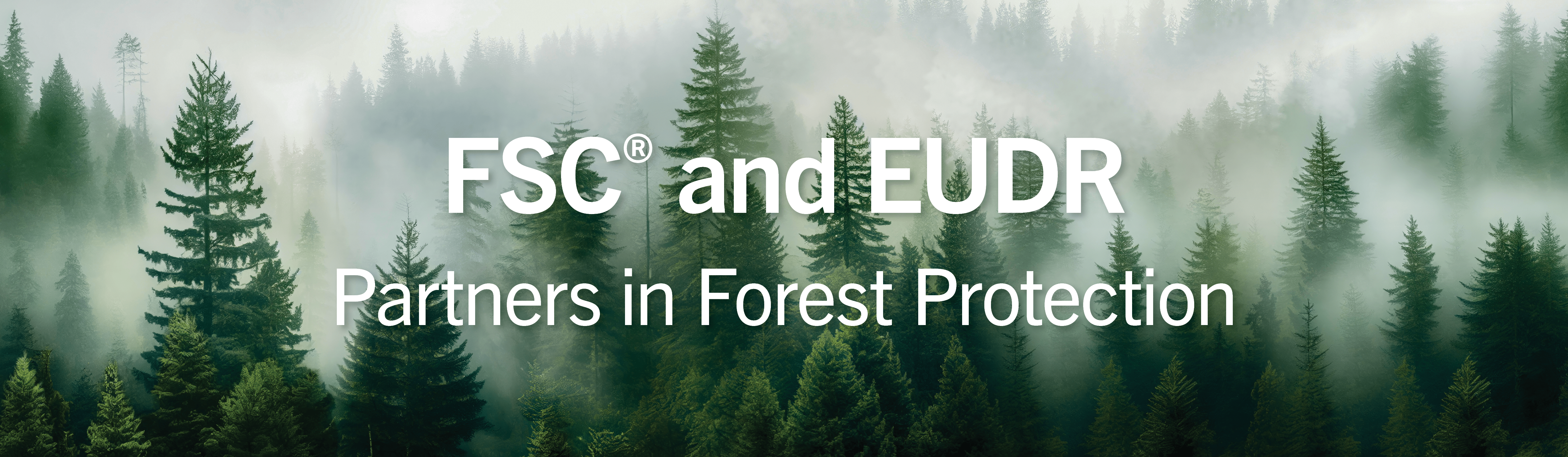 FSC – A tool to reduce the risk of burden shifting